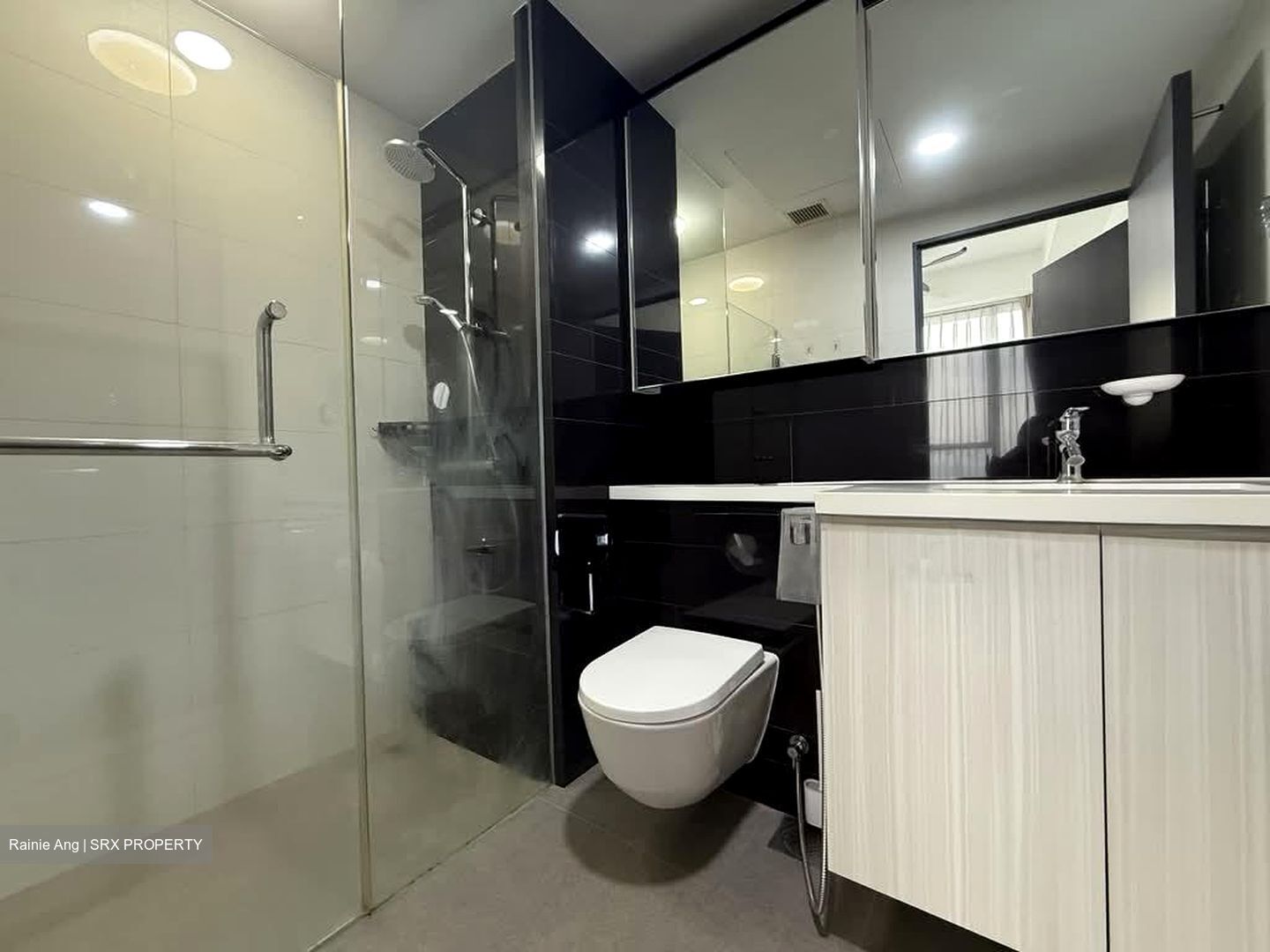 Lorong 4 Toa Payoh (D12), Condominium #554233781